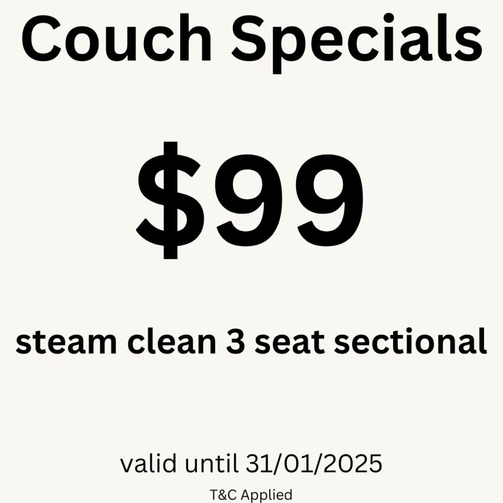 Couch Cleaning Discount